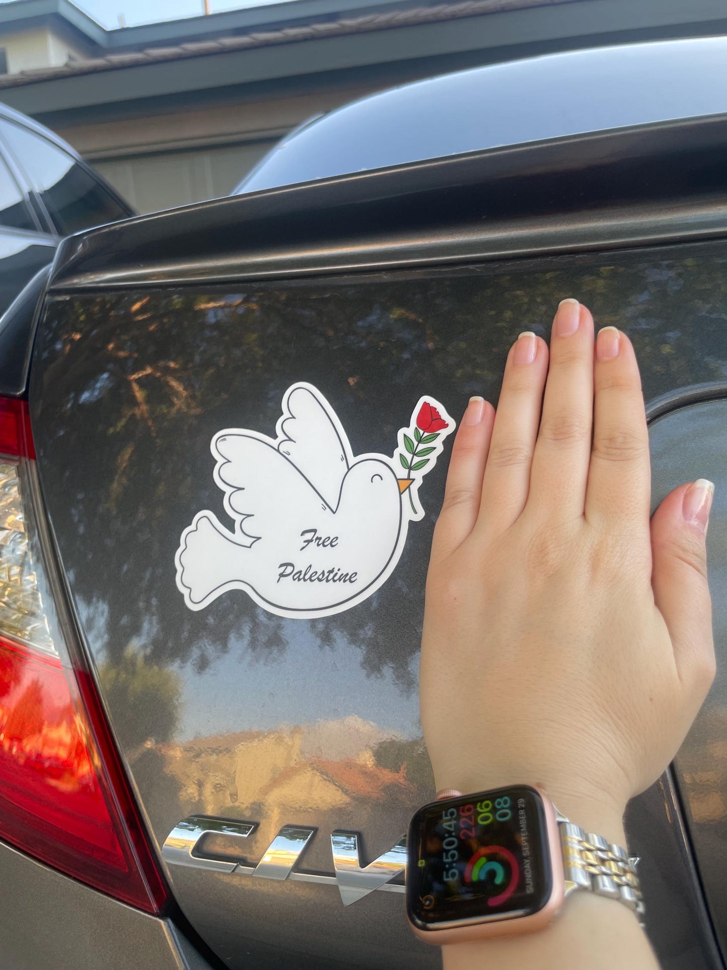 Falastini Dove Bumper Sticker, Palestine Bumper Sticker, Car Bumper Sticker, Free Palestine Bumper Sticker
