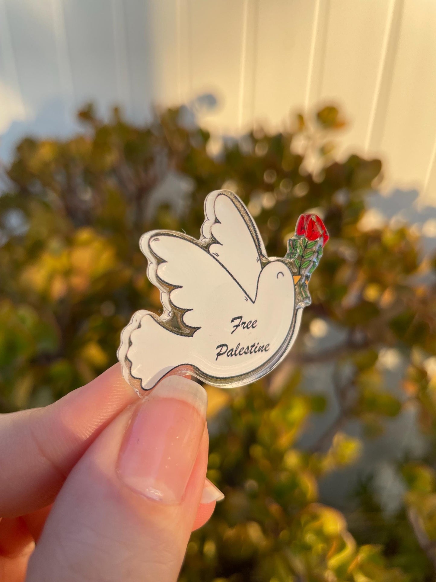 From Palestine Dove with poppy acrylic pin, for backpack pin, hat pin, jacket pin, tote bag pin, purse pin. Acrylic pin.